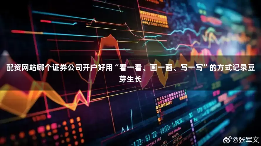 配资网站哪个证券公司开户好用“看一看、画一画、写一写”的方式记录豆芽生长