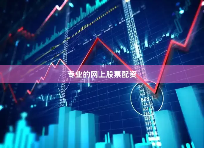 专业的网上股票配资