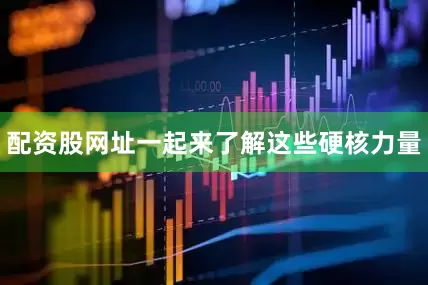 配资股网址一起来了解这些硬核力量