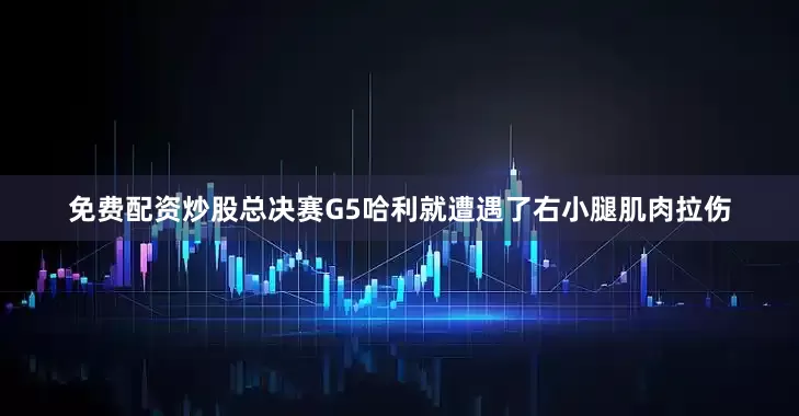 免费配资炒股总决赛G5哈利就遭遇了右小腿肌肉拉伤