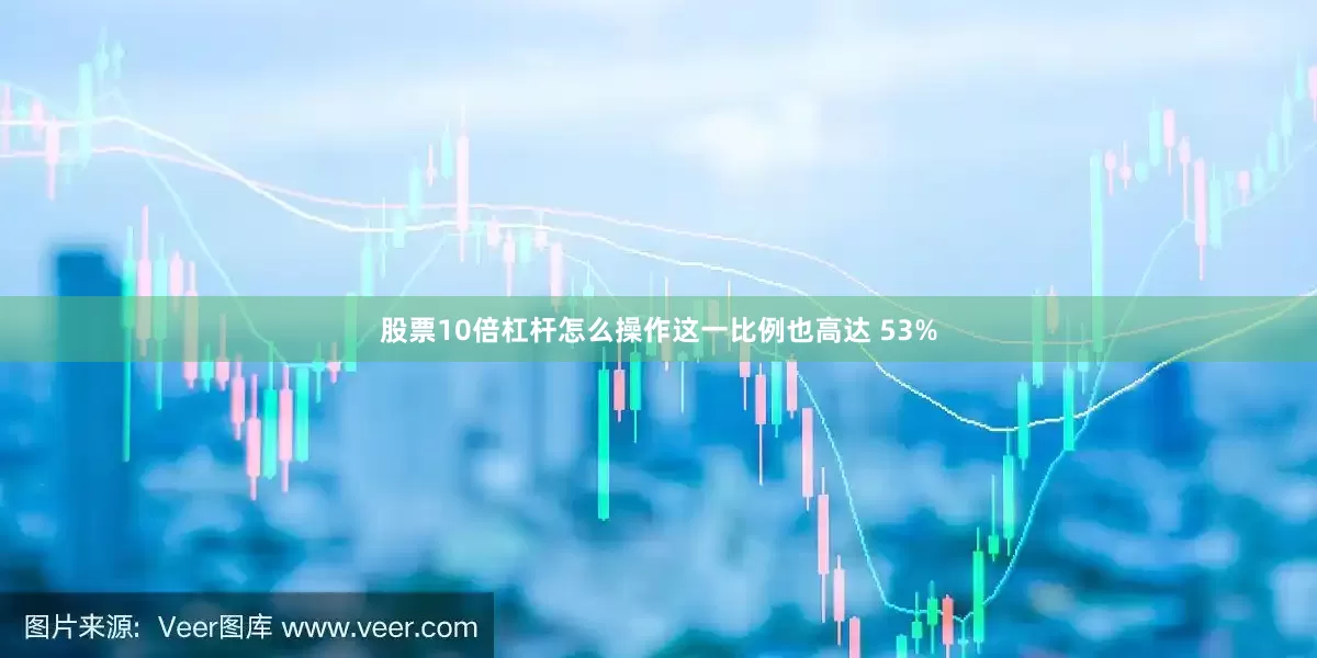 股票10倍杠杆怎么操作这一比例也高达 53%