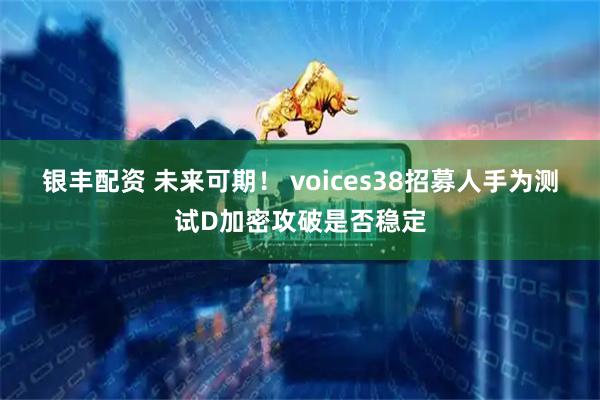 银丰配资 未来可期！ voices38招募人手为测试D加密攻破是否稳定
